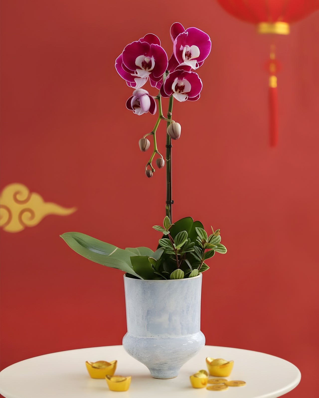 Joy in Bloom|喜凝相聚