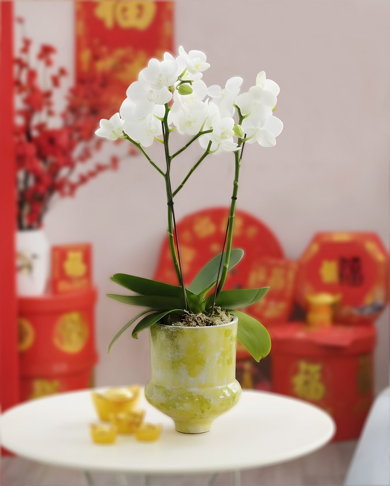 Spring Serenity|春序瑞光