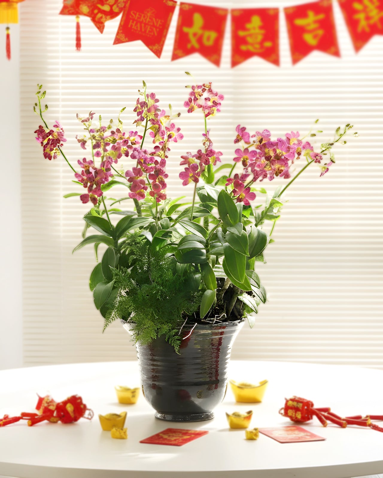 Blushing Joy|蘭光柔喜