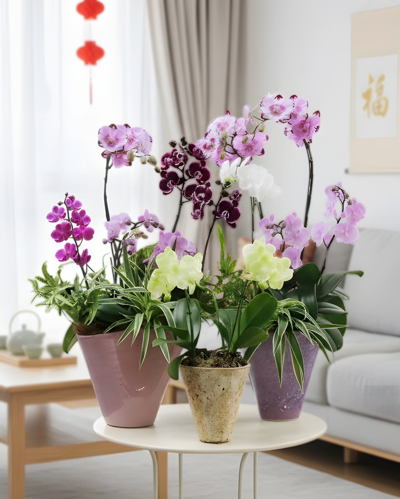 Prosperity Garden|蘭庭一隅