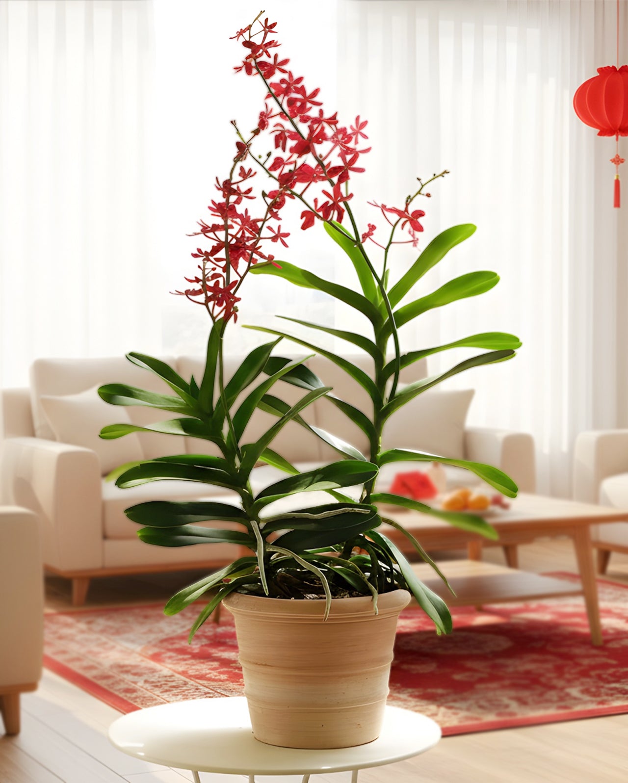 Crimson Luck|丹福凝華