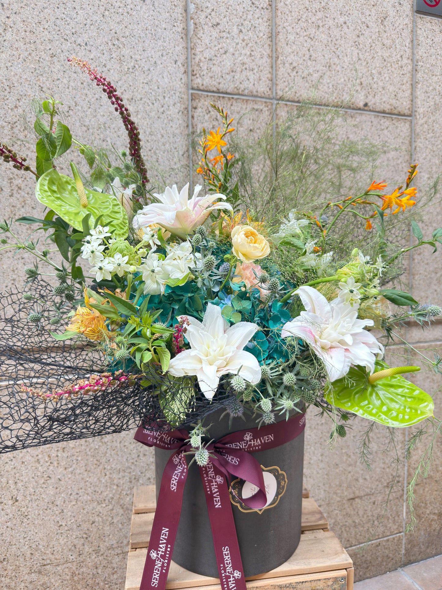 Chapter of Tender Spring