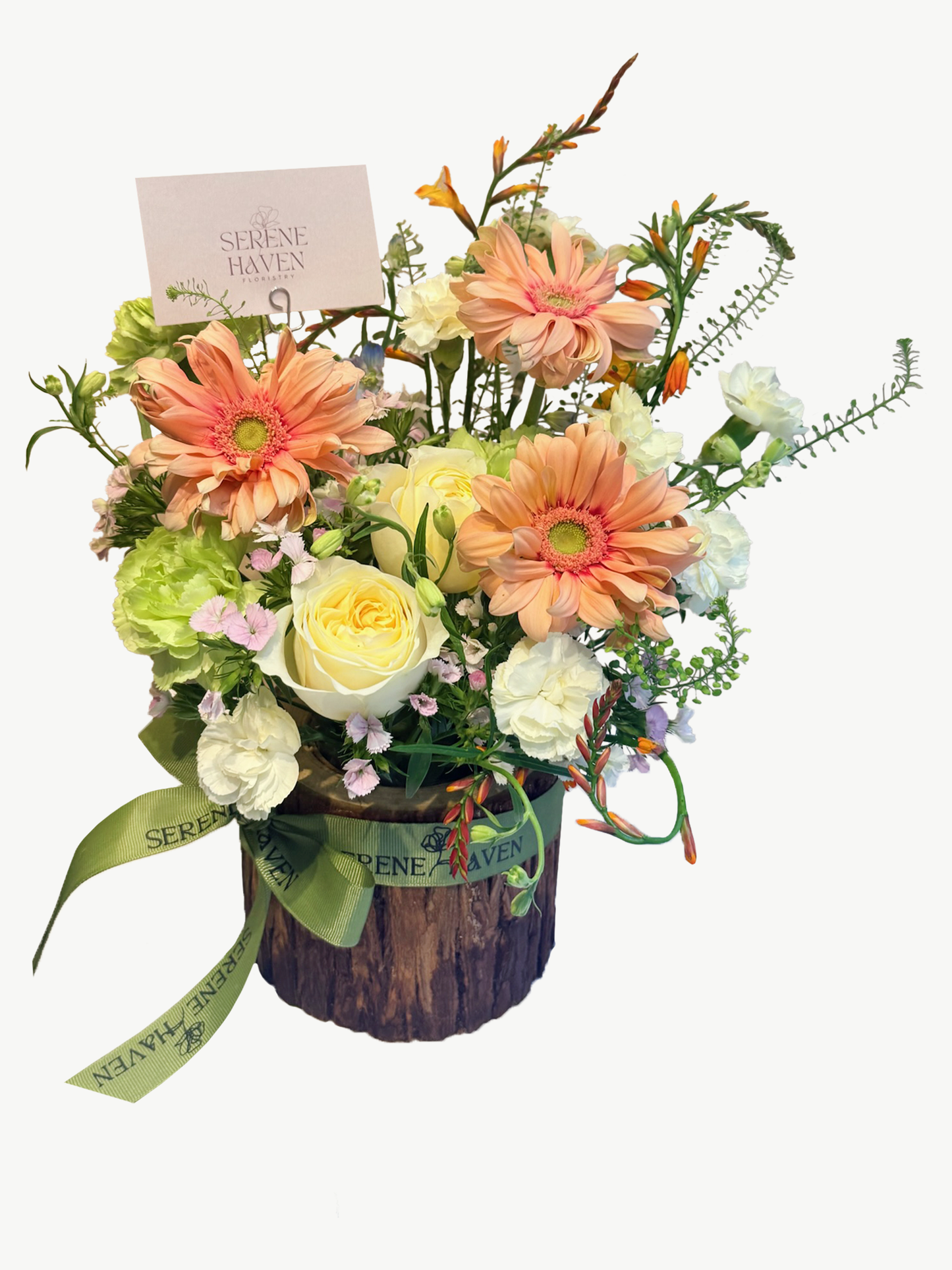 Chapter of Spring Whispers