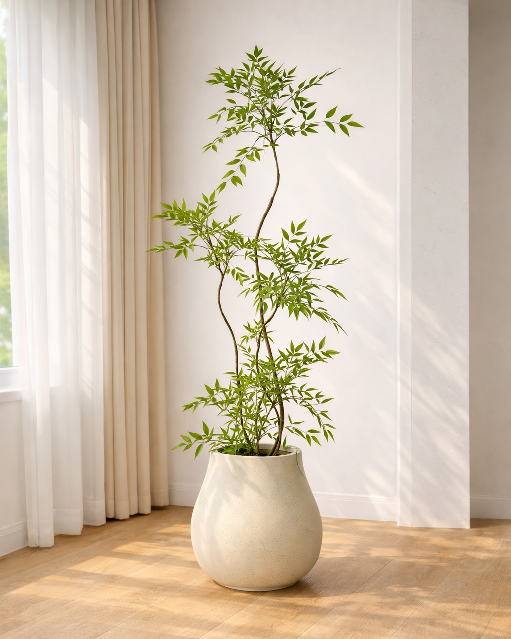 Nandina Domestica | 南天竹