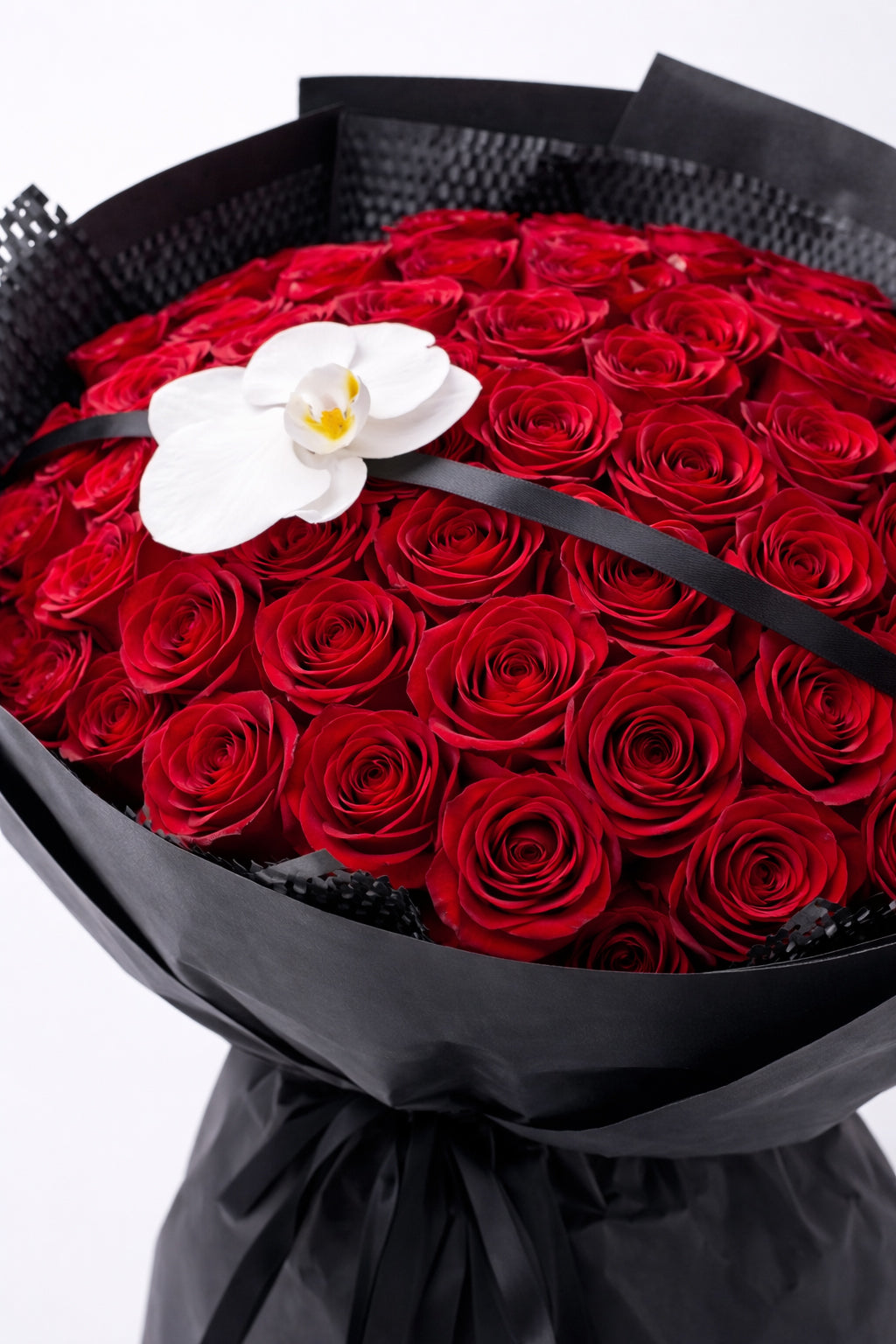 Crimson Oath (Dome Silhouette)