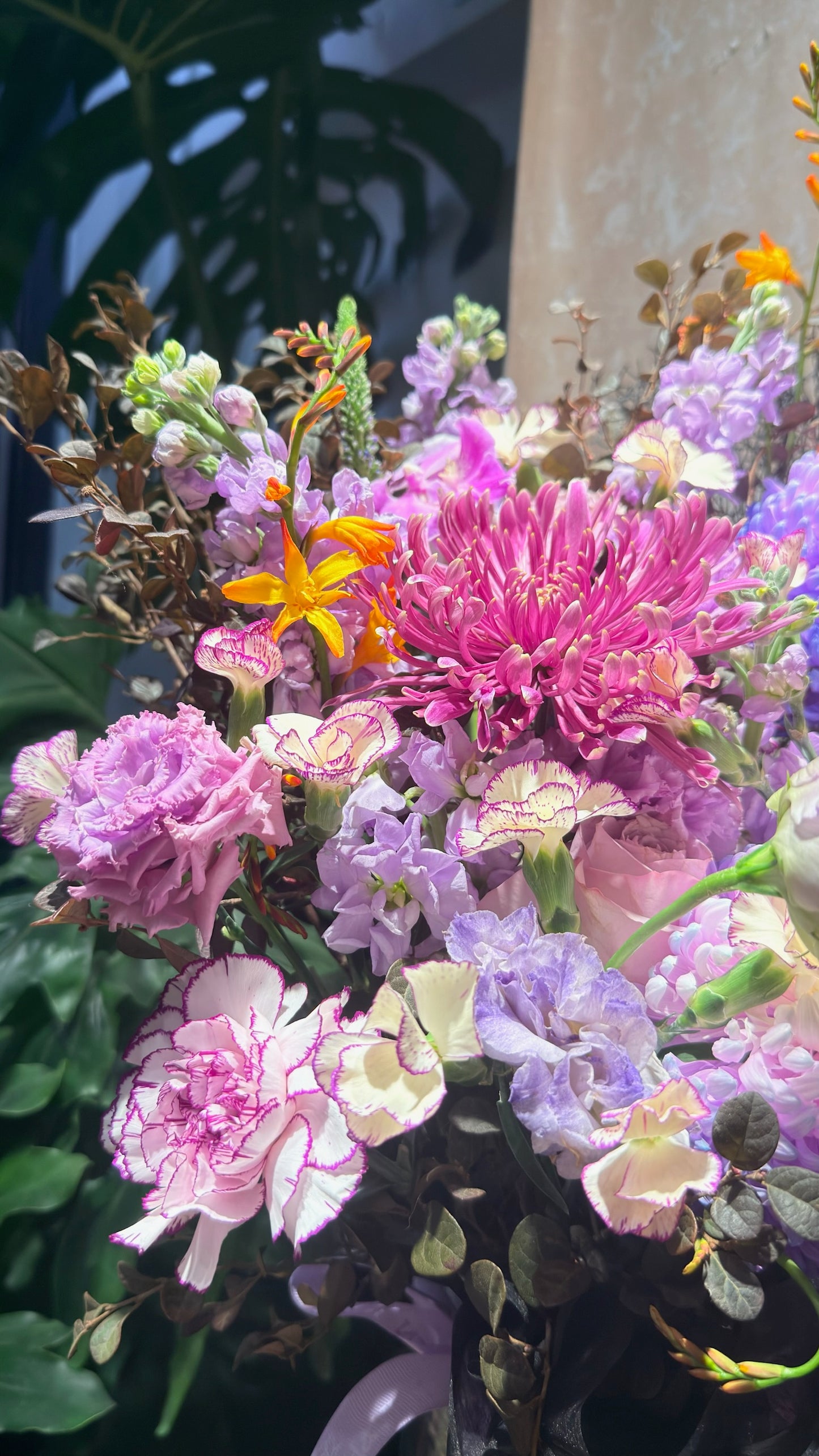 Chapter of Lavender Reverie