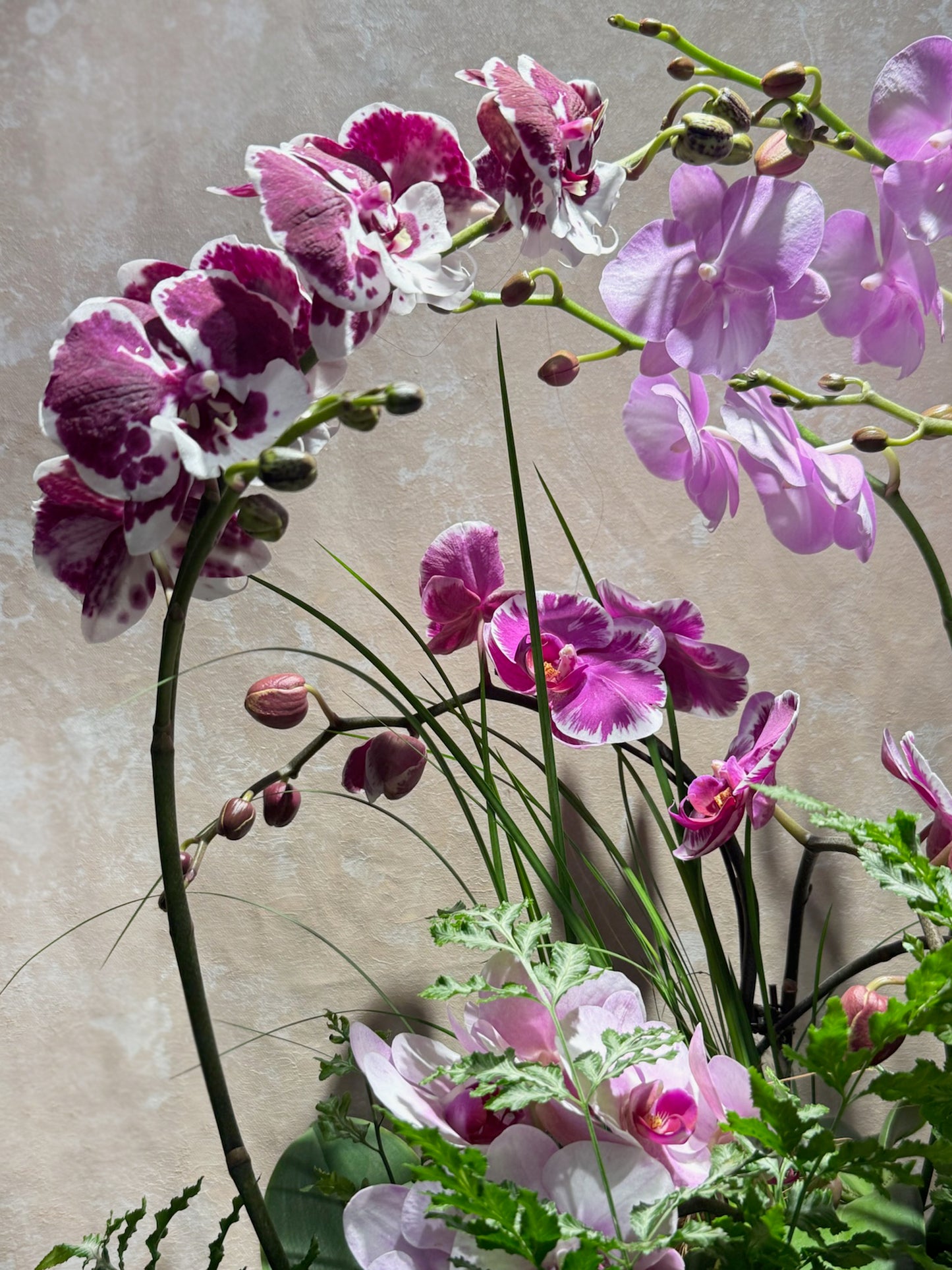 Harmony of Fortune|和瑞豐盈