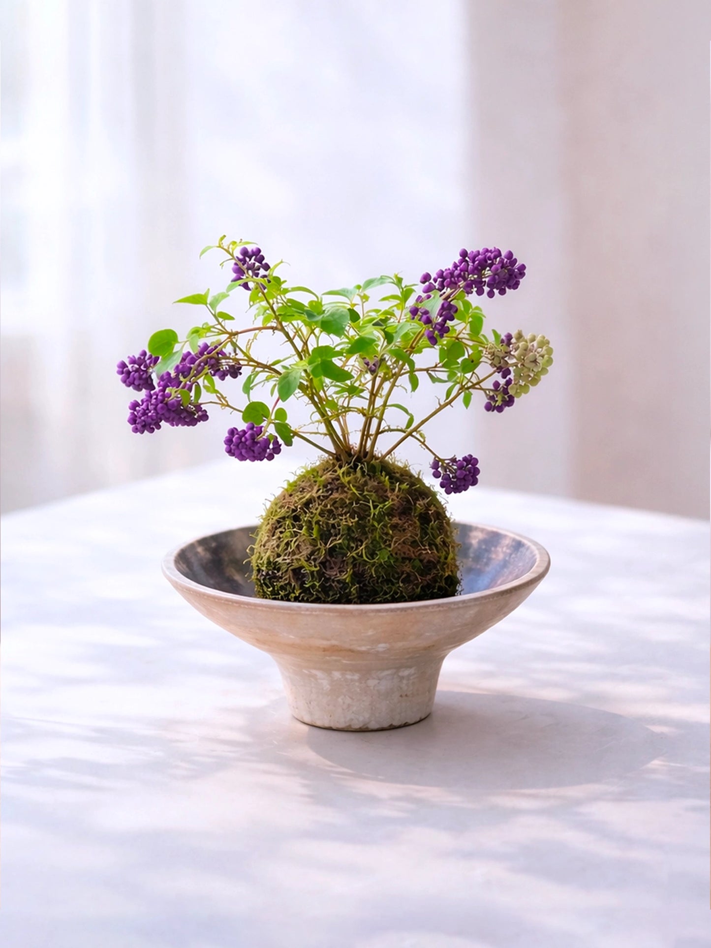 Purple Beautyberry Kokedama | 紫珠苔蘚球