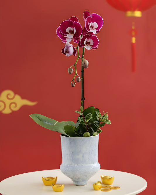 Joy in Bloom｜喜凝相聚