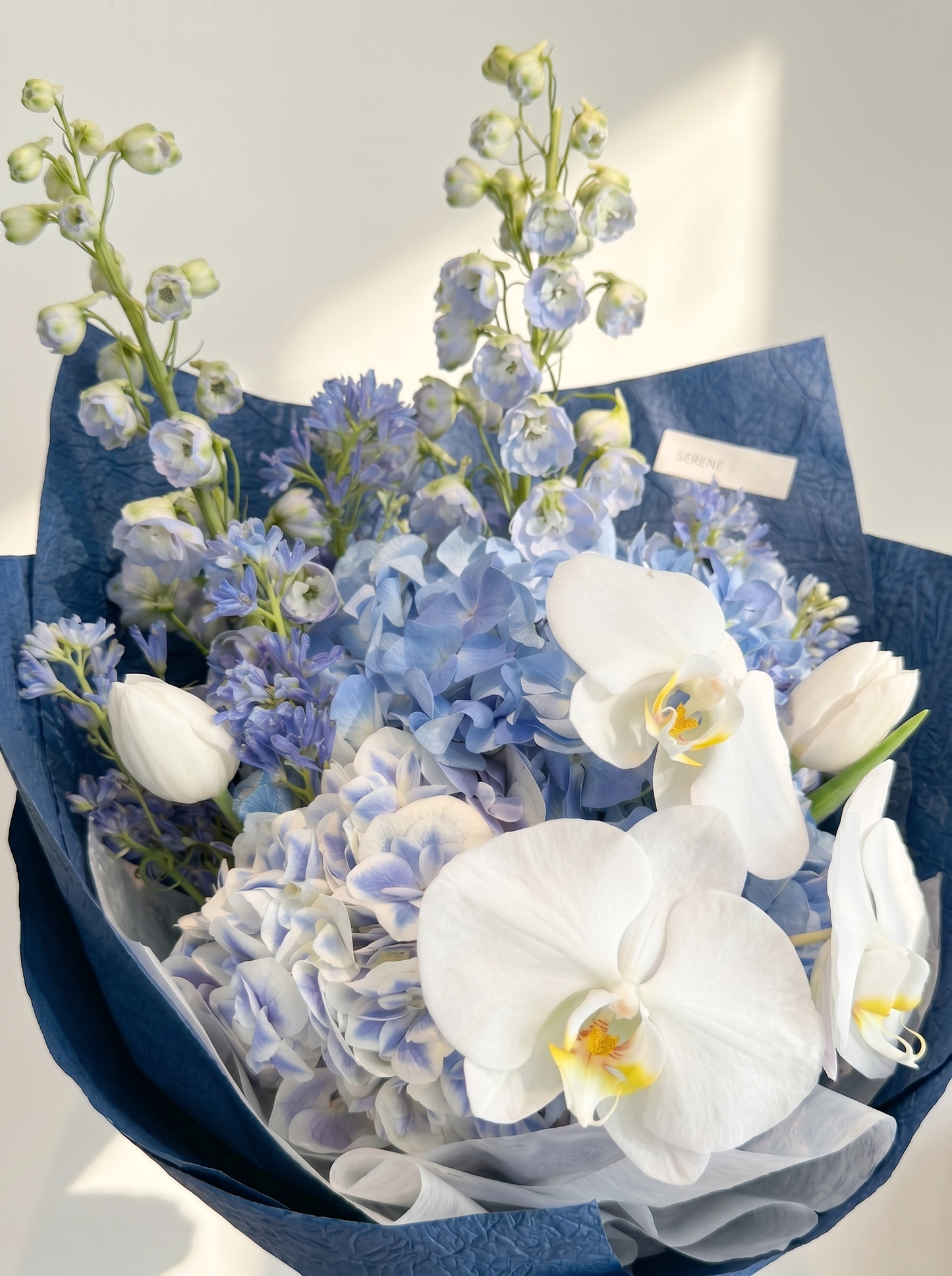 Azure Grace