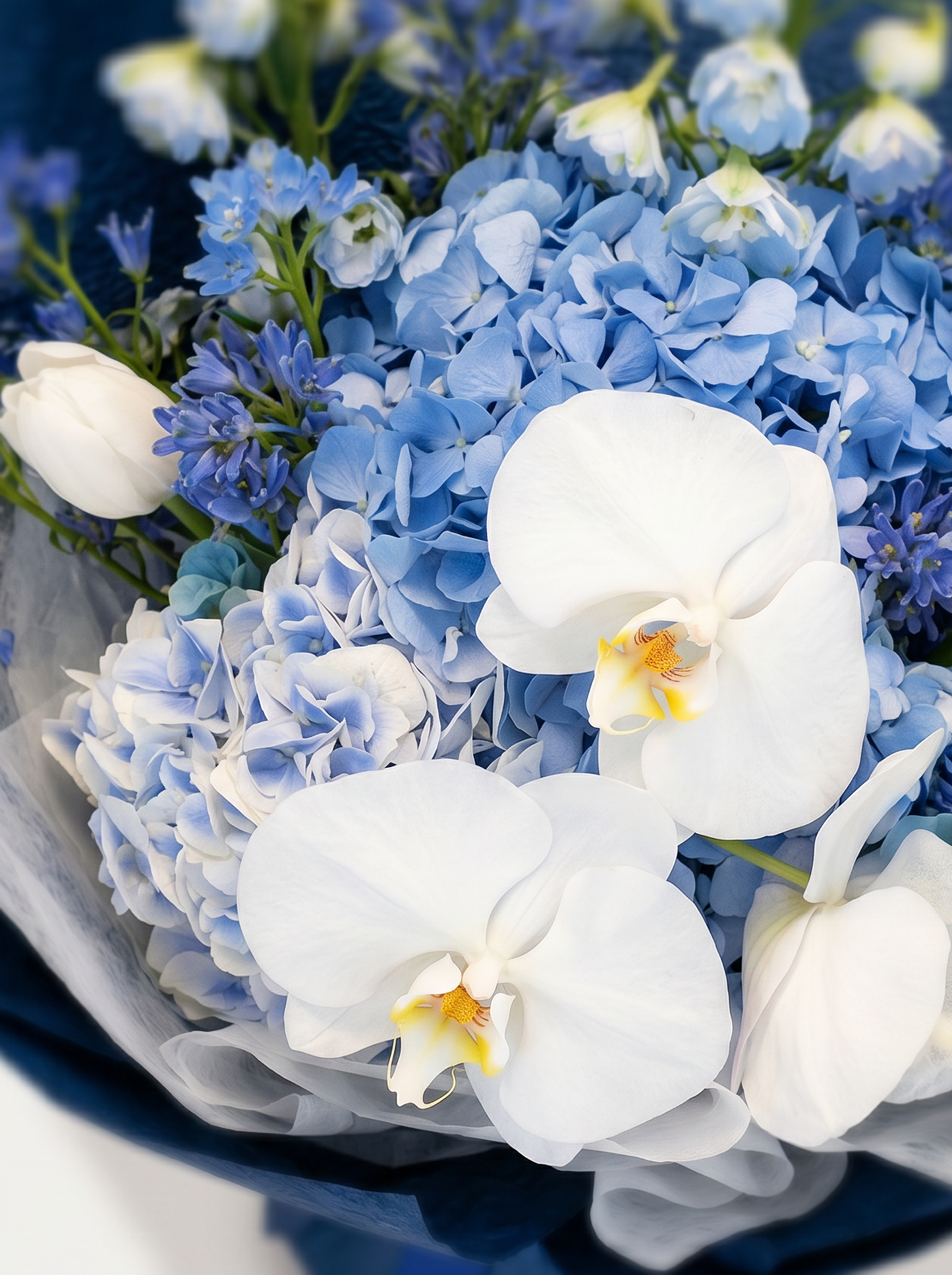 Azure Grace