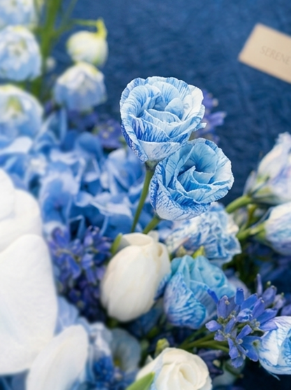 Azure Grace