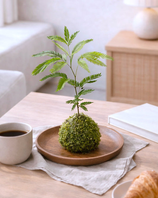 Dense-leaf Necklace Pod Plant Kokedama | 密葉猴耳環苔蘚球