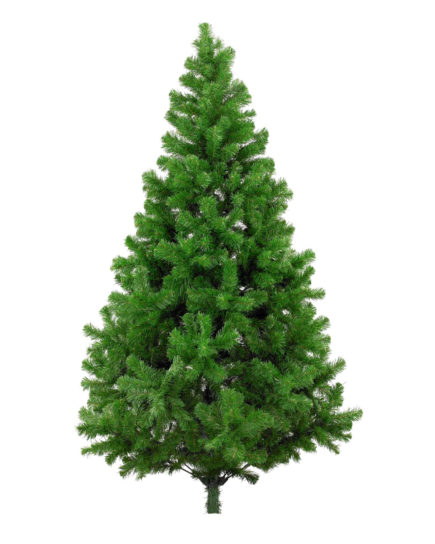 Noble Fir Christmas Tree