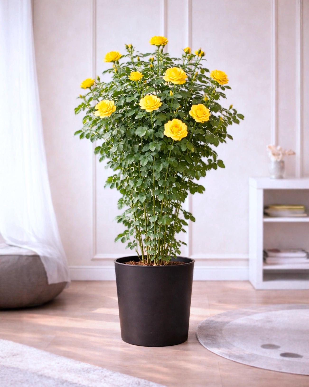 Yellow