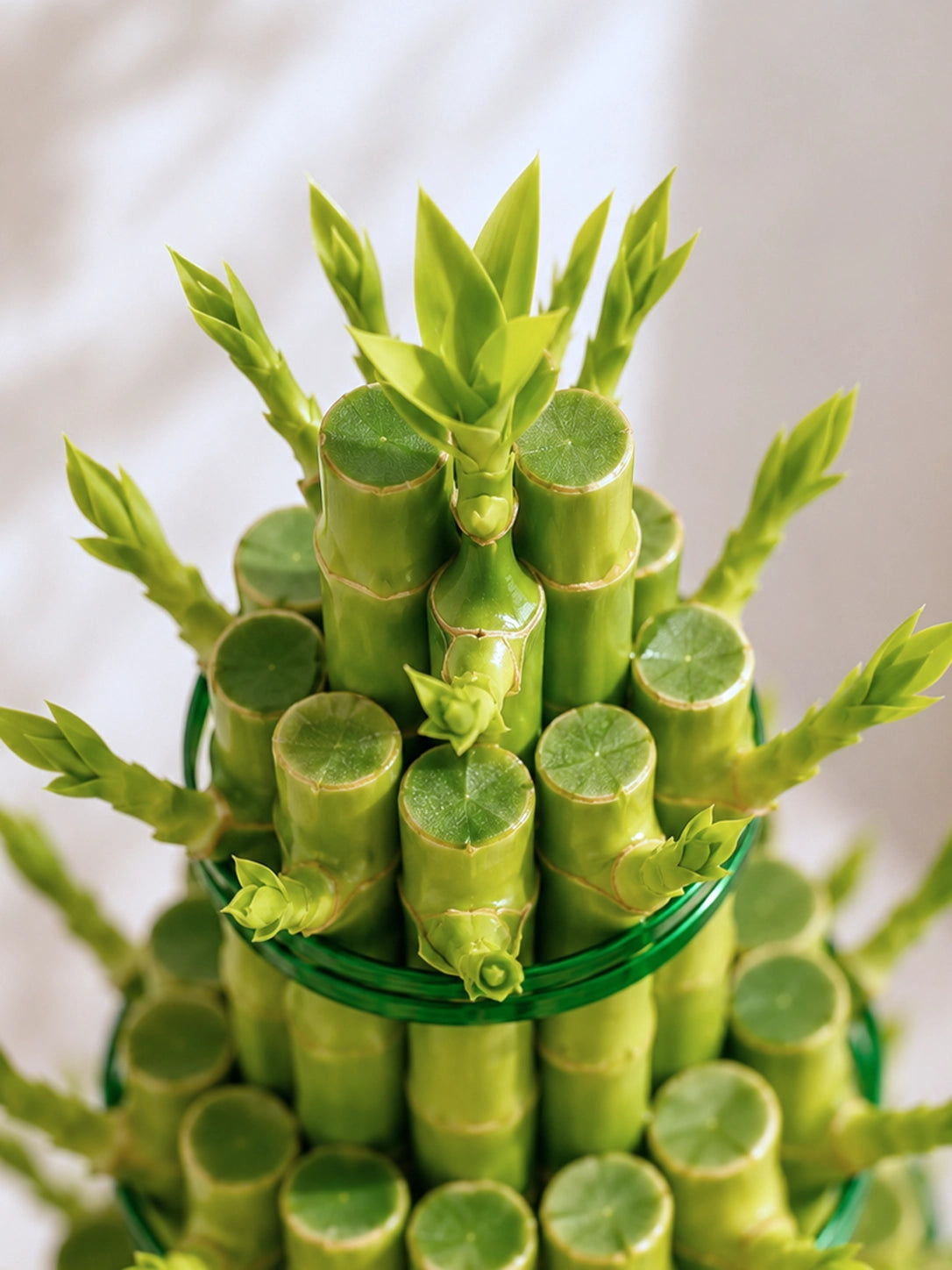 Close-up of 6-Tier Lucky Bamboo Tower 六層富貴竹塔，showcasing 健康翠綠竹葉、層層向上的 tiered arrangement 及精緻細節。