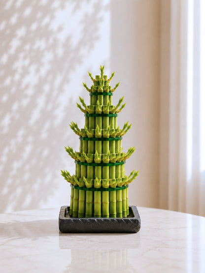 6-Tier Lucky Bamboo Tower 六層富貴竹塔，symbolising 步步高升、繁榮與好運，ideal for home décor, offices and business openings.
