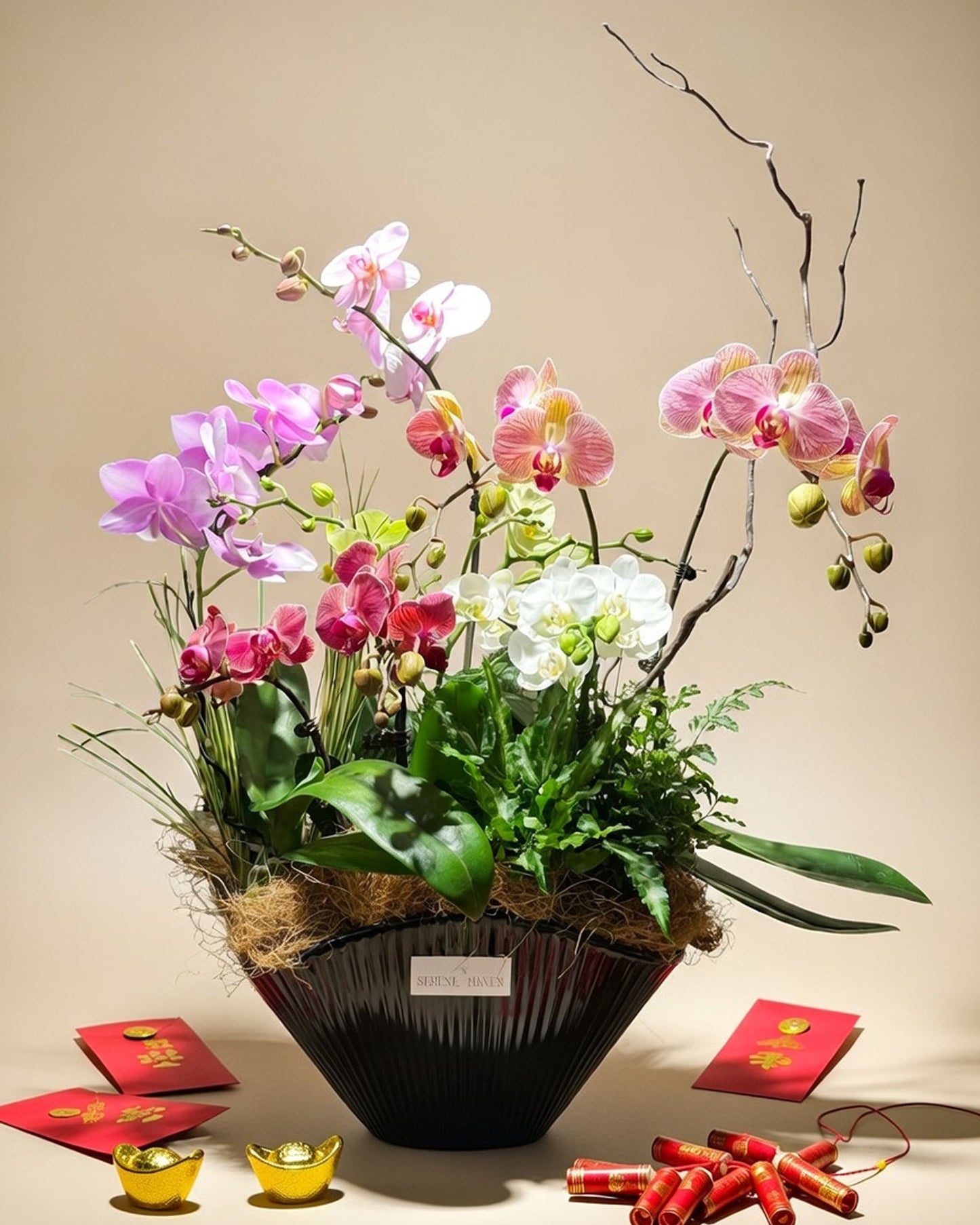 Auspicious Ascent｜瑞運高升