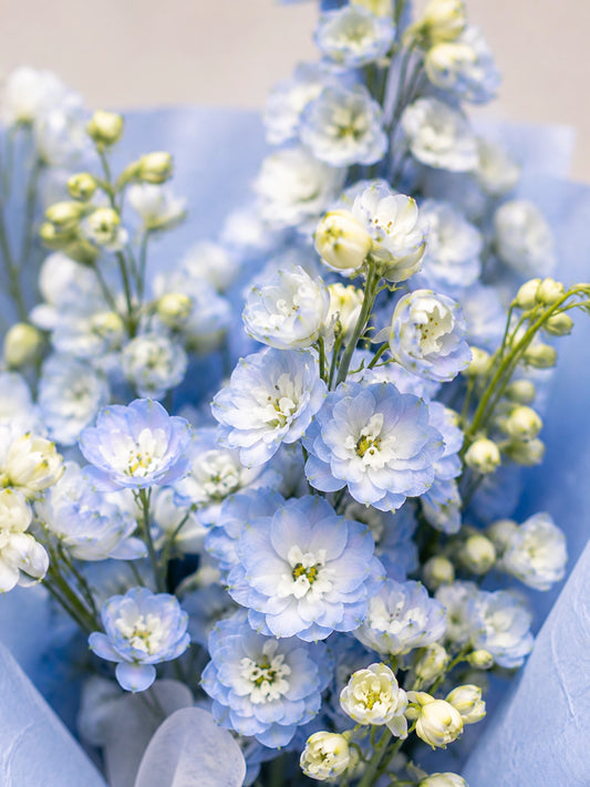Azure Breeze