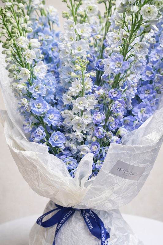 Azure Breeze