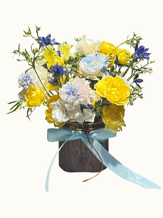 Chapter of Blue Haven