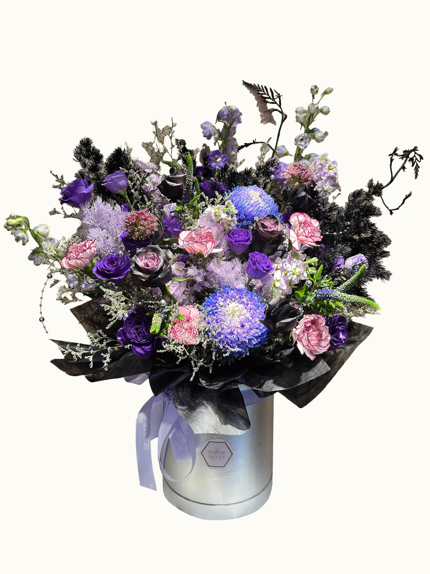 Chapter of Dawnlight