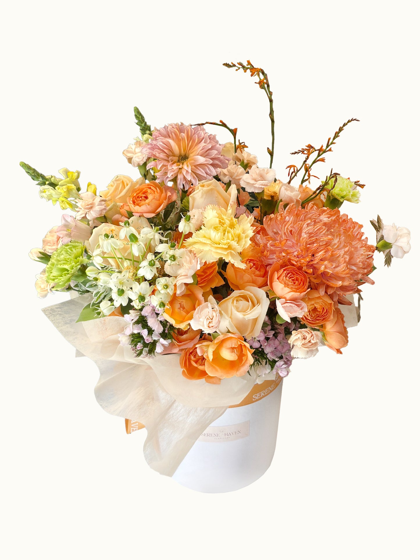 Chapter of Golden Ember