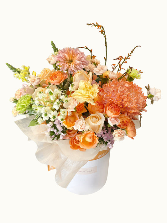 Chapter of Golden Ember