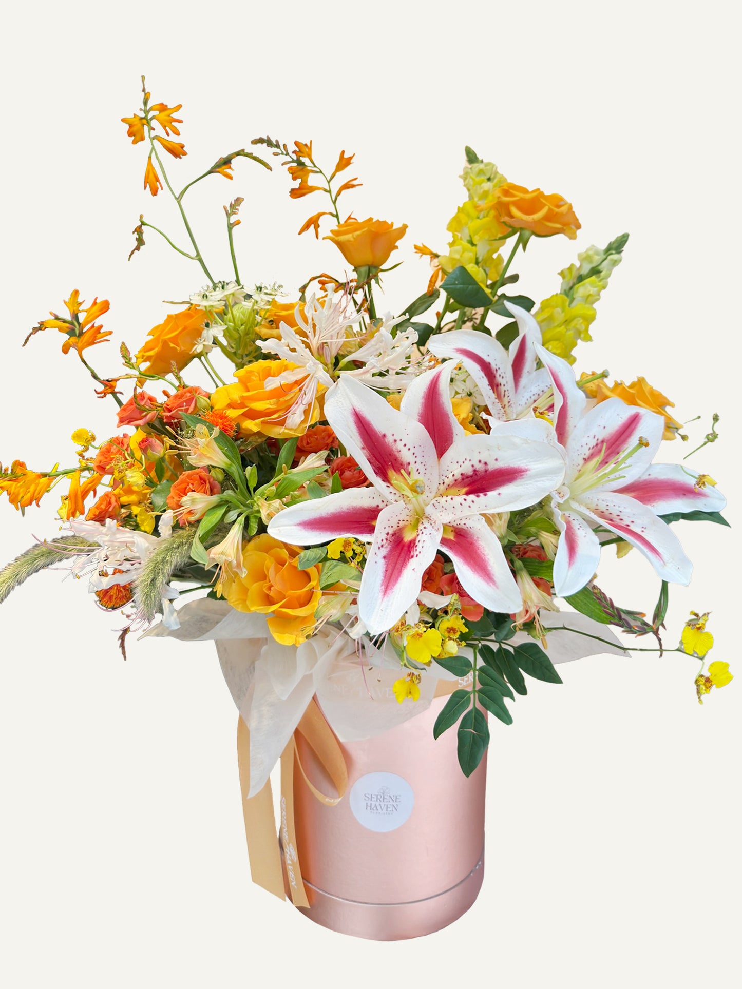 Chapter of Jubilant Fire