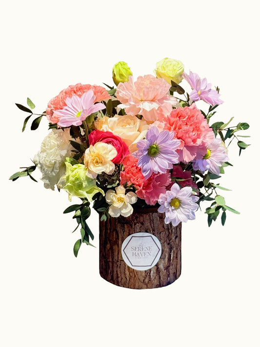 Chapter of Pastel Poise