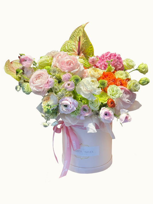 Chapter of Soft Blush