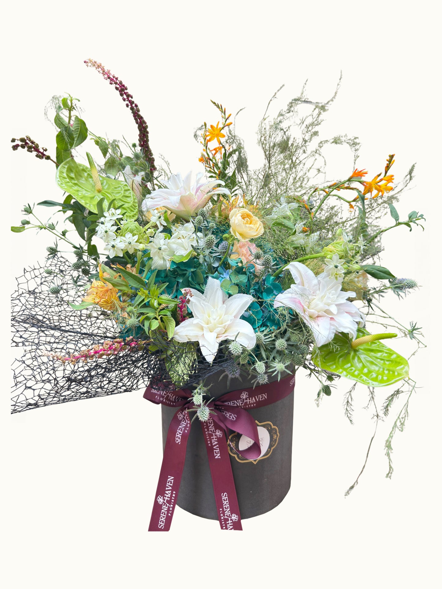 Chapter of Tender Spring