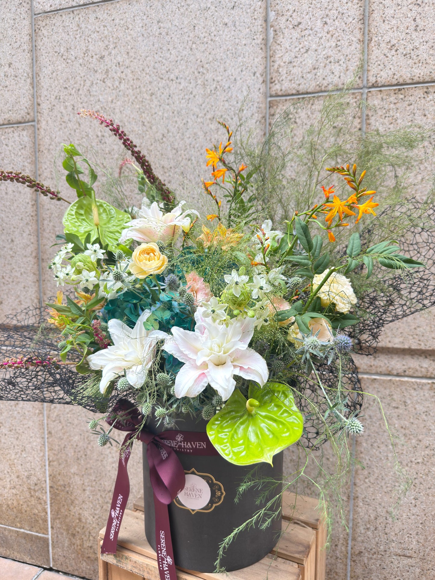 Chapter of Tender Spring