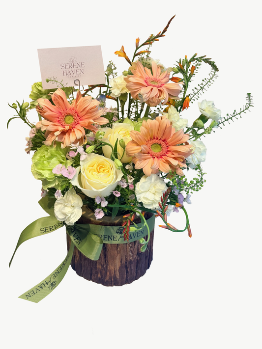 Chapter of Spring Whispers