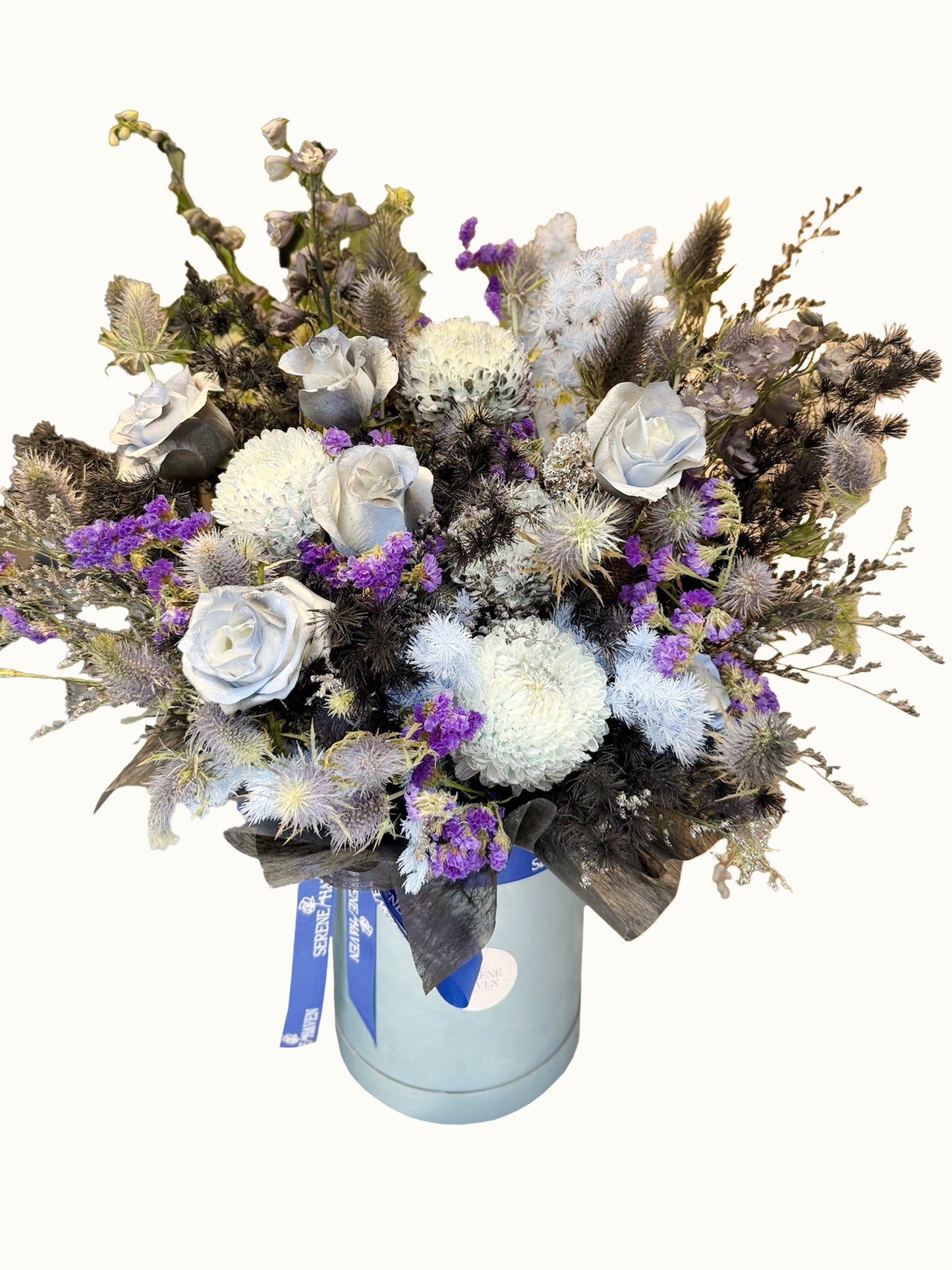 Chapter of Winter Silence