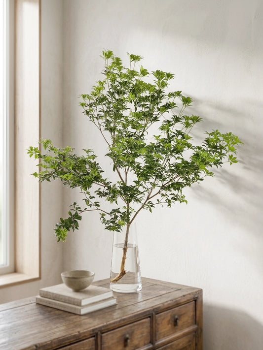 China Doll Plant | 馬醉木