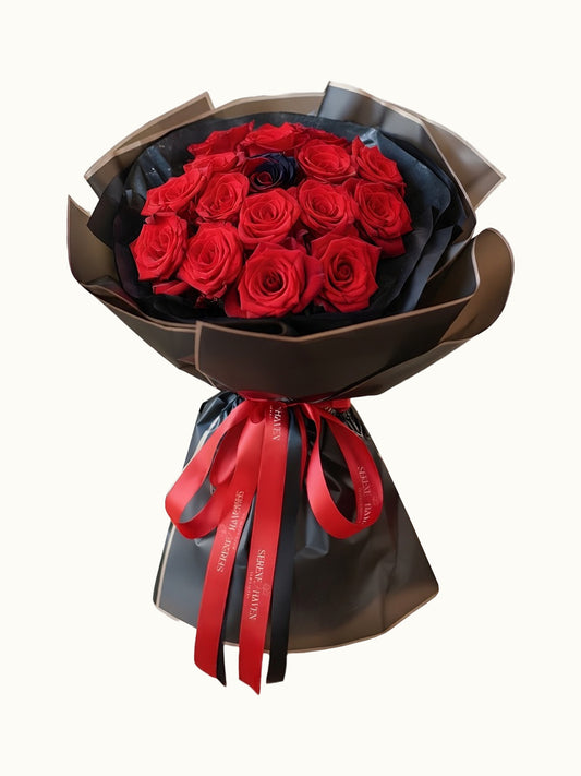 Crimson Oath (Dome Silhouette)