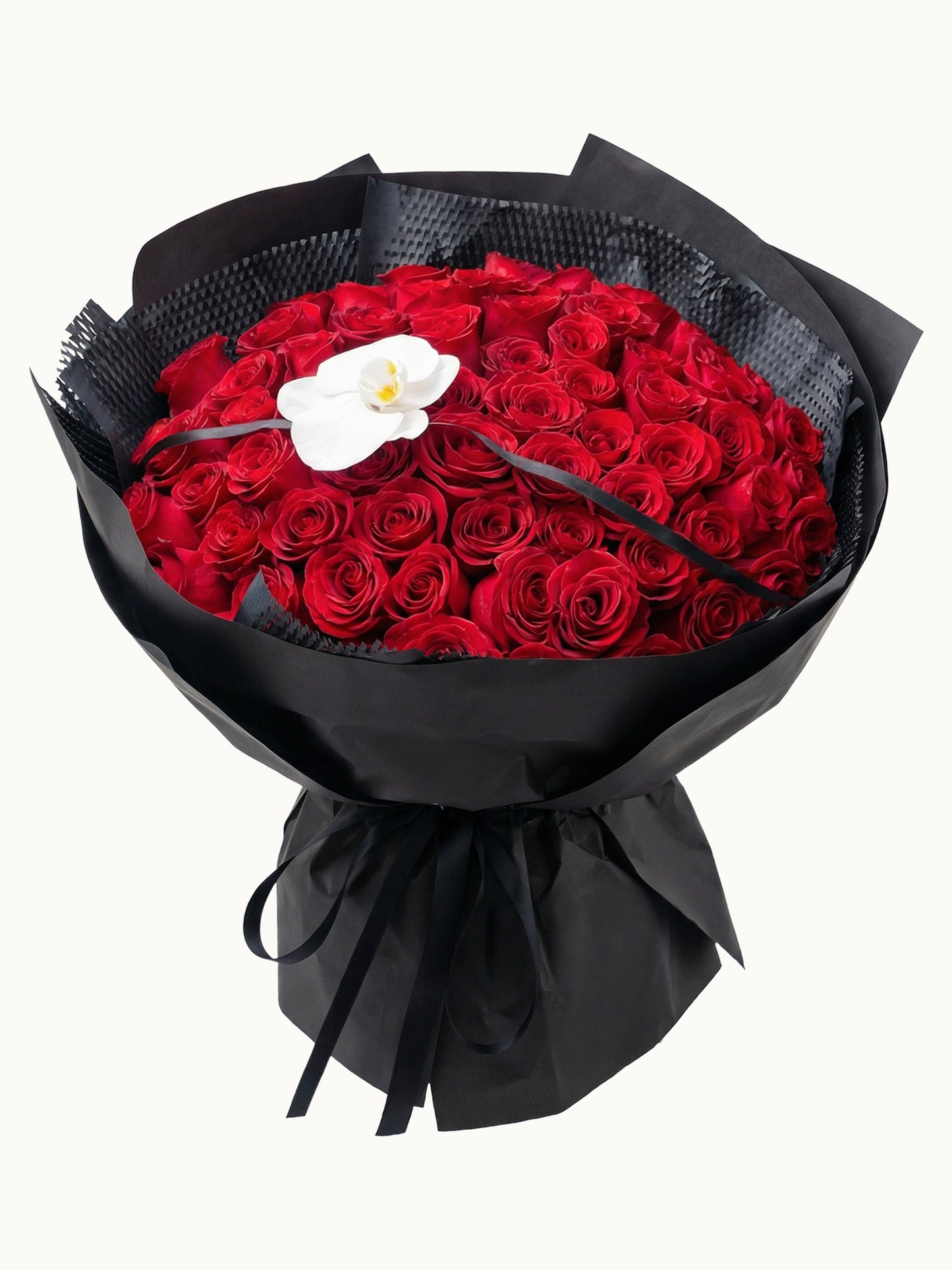 Crimson Oath (Dome Silhouette)