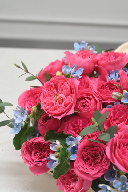 Petite Rosé Mini Box