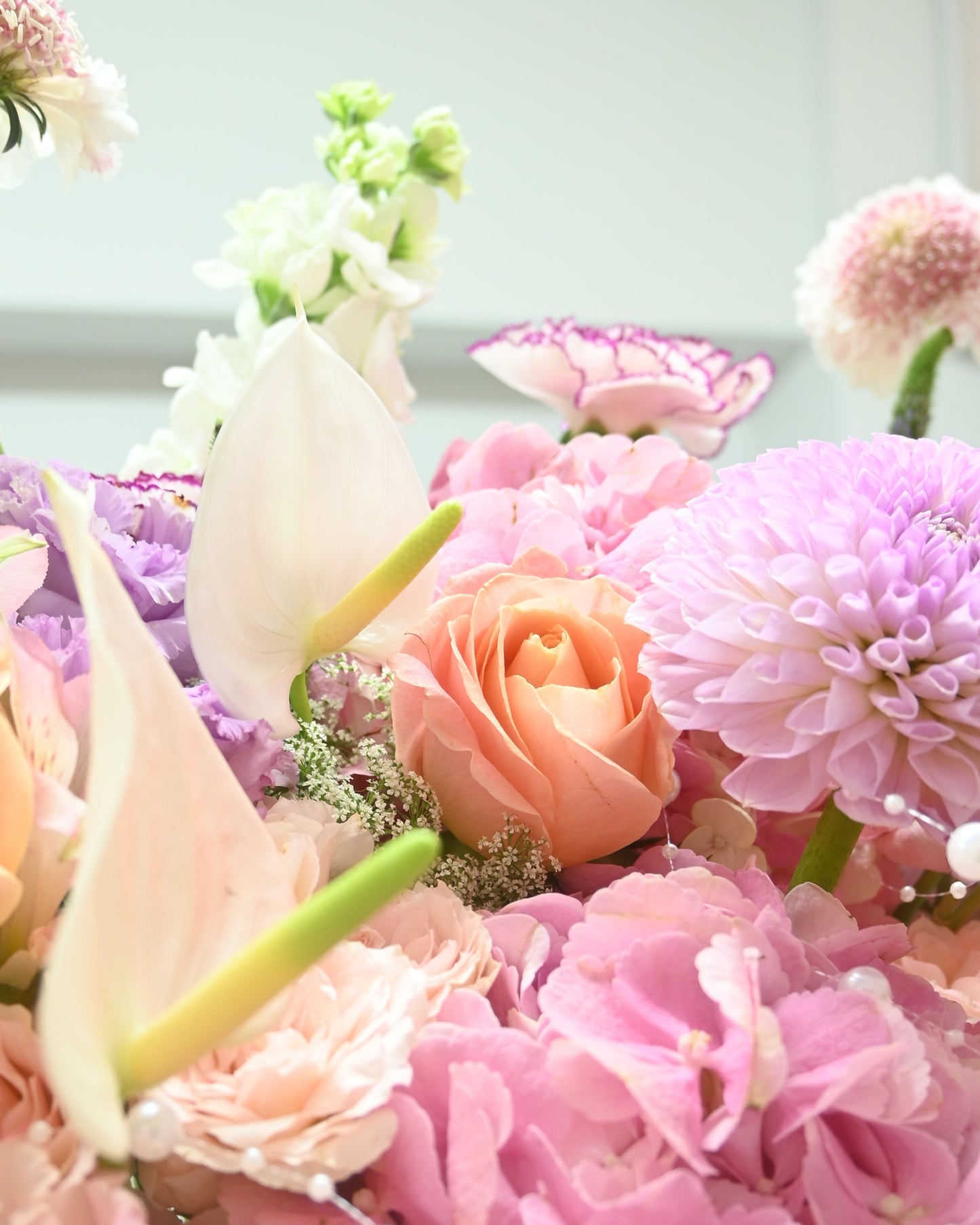 Chapter of Blush Reverie