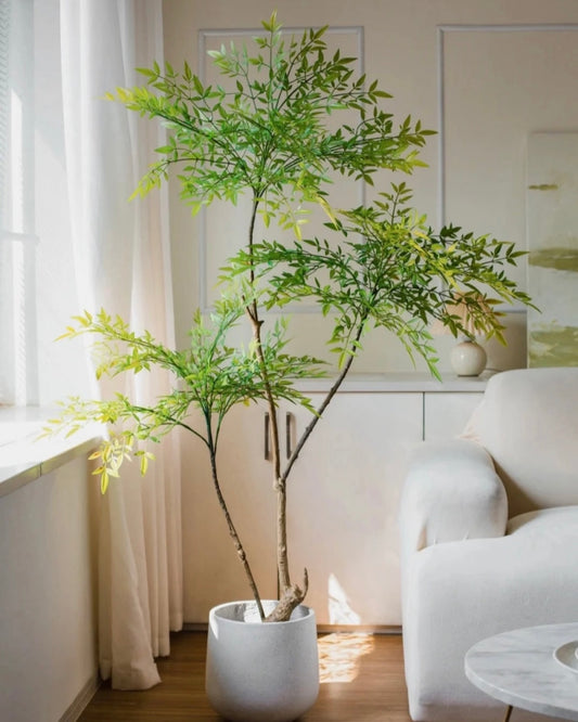 Nandina Domestica | 南天竹