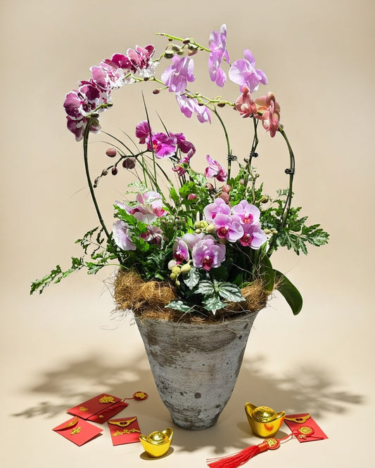 Harmony of Fortune｜和瑞豐盈