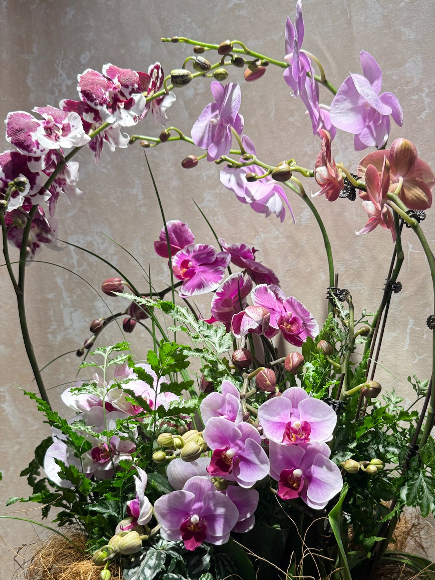 Harmony of Fortune｜和瑞豐盈