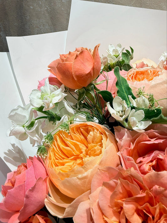 Apricot Glow