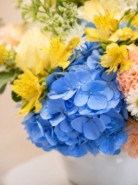 Morning Muse Vase