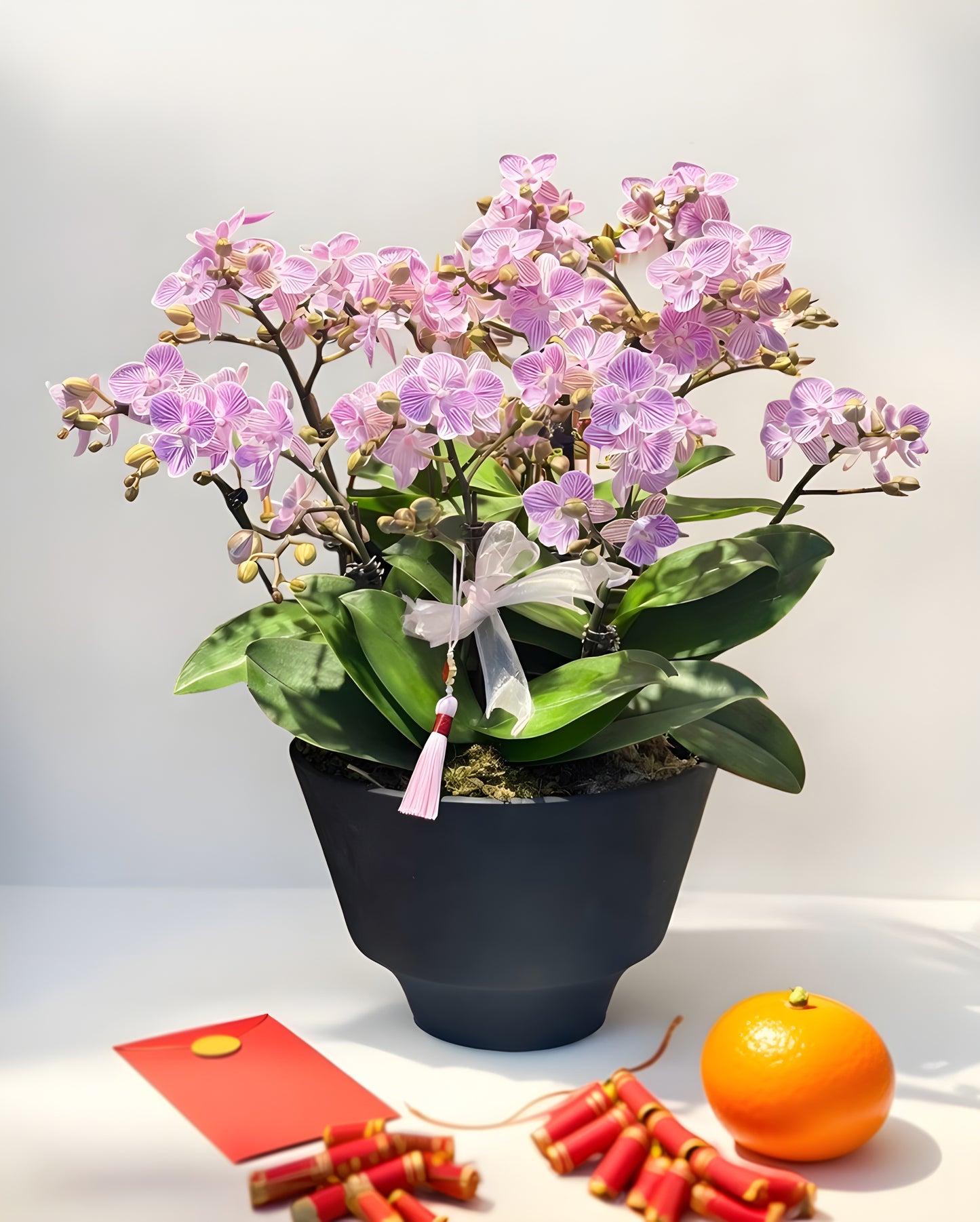 Orchid Elegance｜蘭瑞雅聚