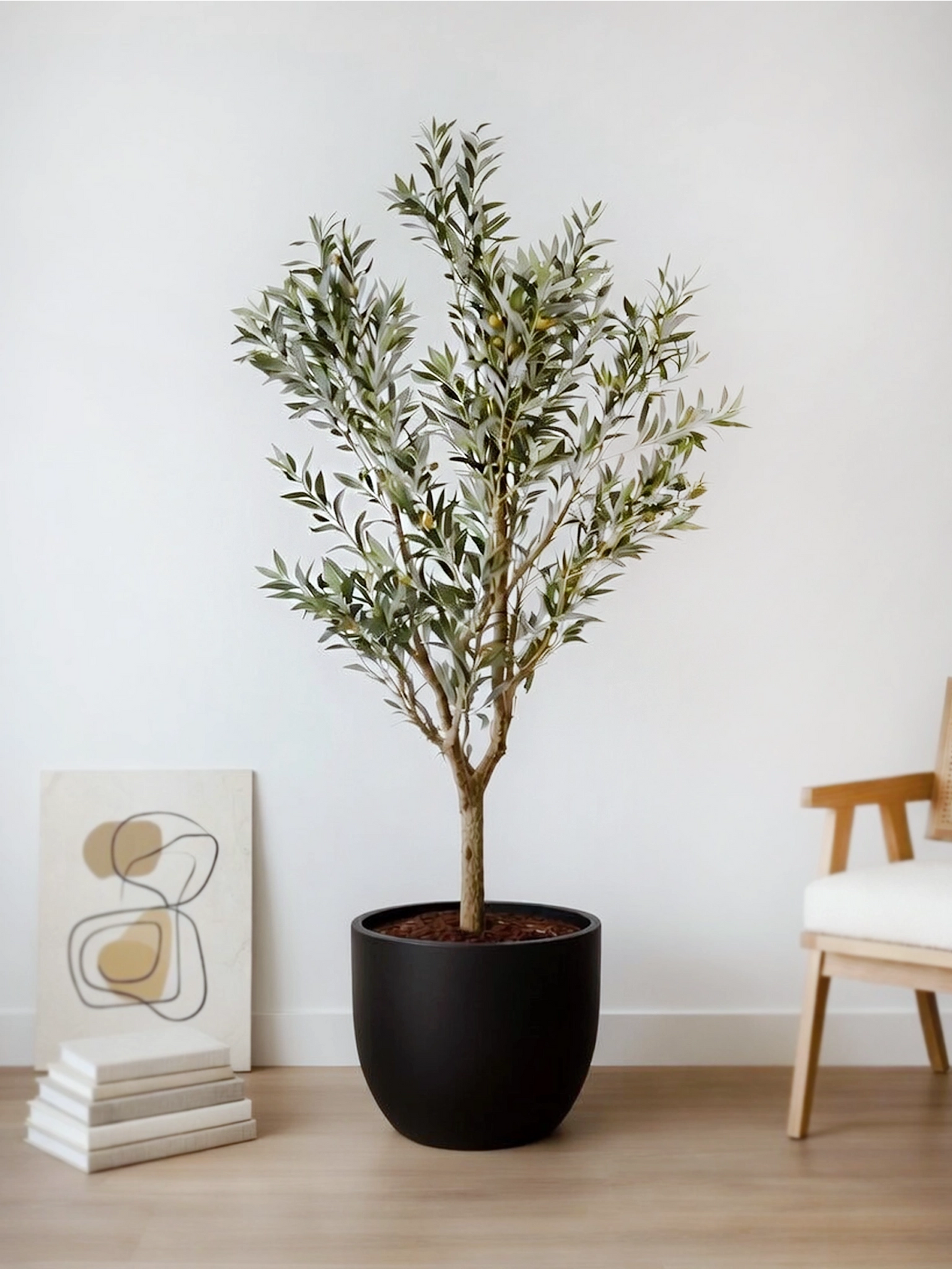 Olive Tree | 橄欖樹