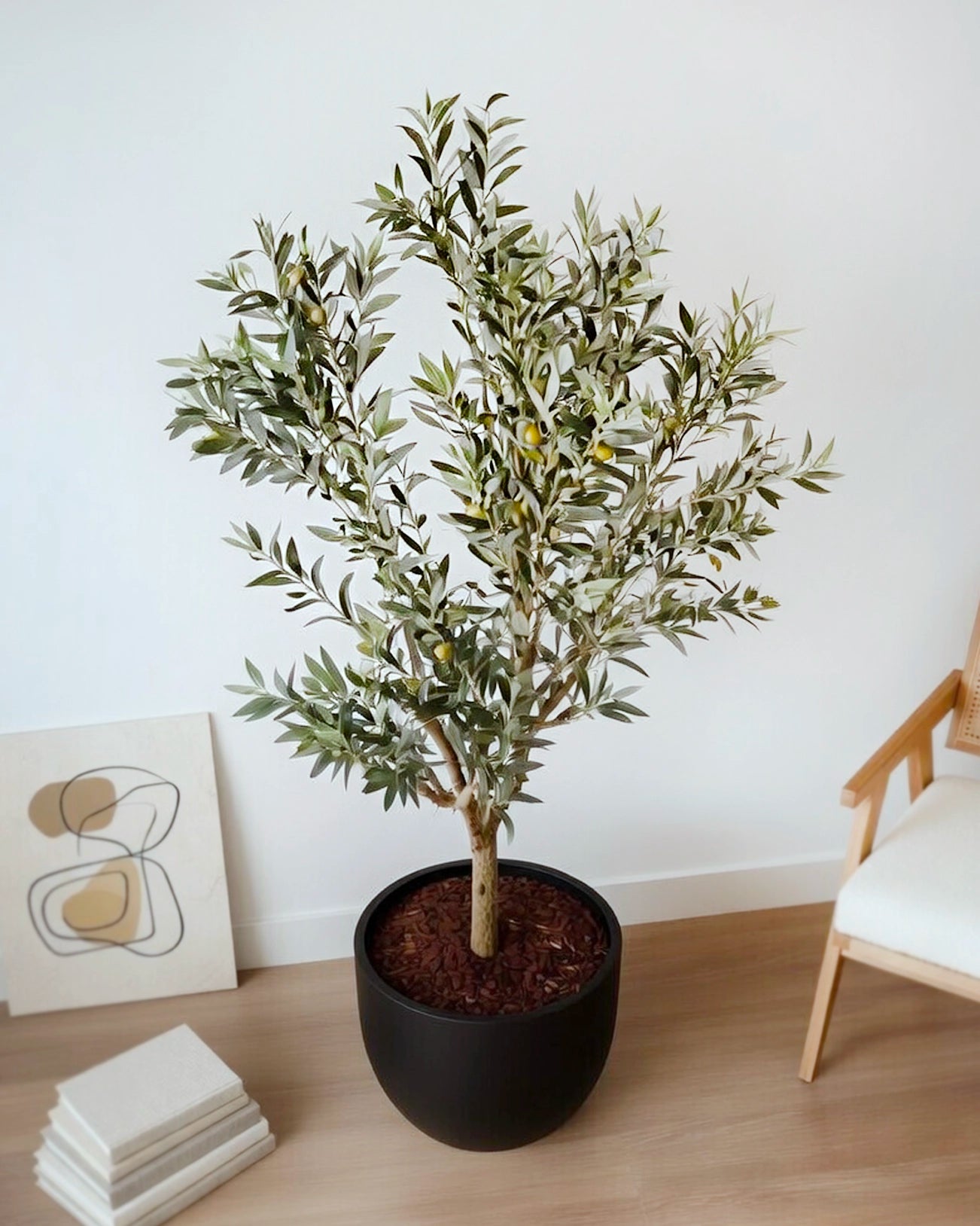 Olive Tree | 橄欖樹