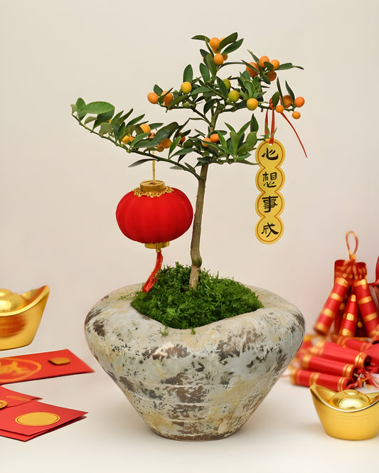 Golden Promise｜金願成真