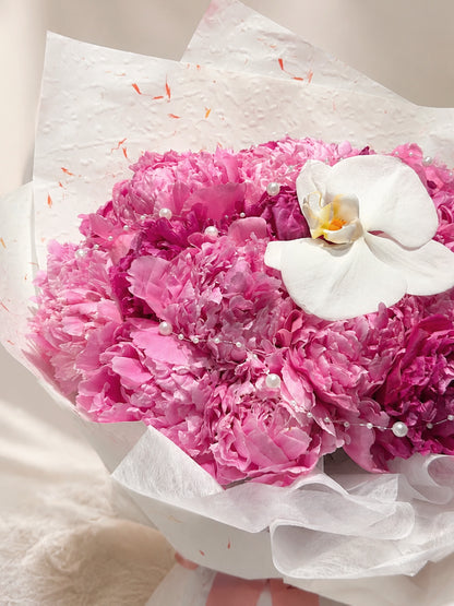 Peony Pearl